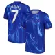 Maillot Chelsea Sterling 7 Homme Domicile 2024-25