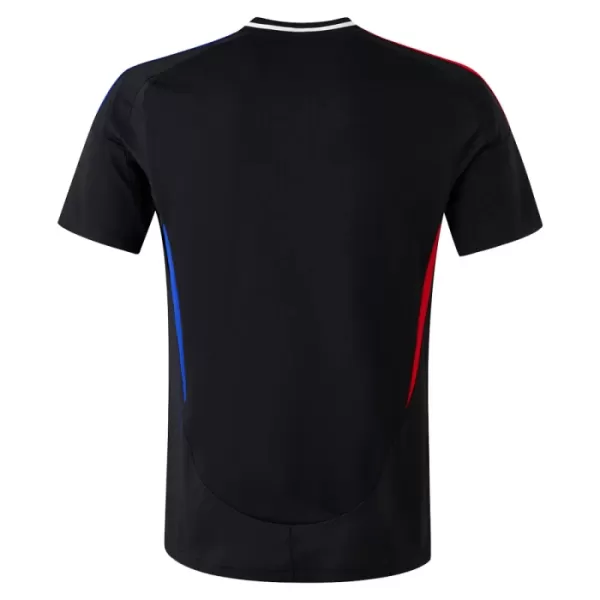 Maillot Olympique Lyonnais Homme Extérieur 2024-25