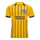 Maillot Brighton Hove Albion Homme Extérieur 2024-25