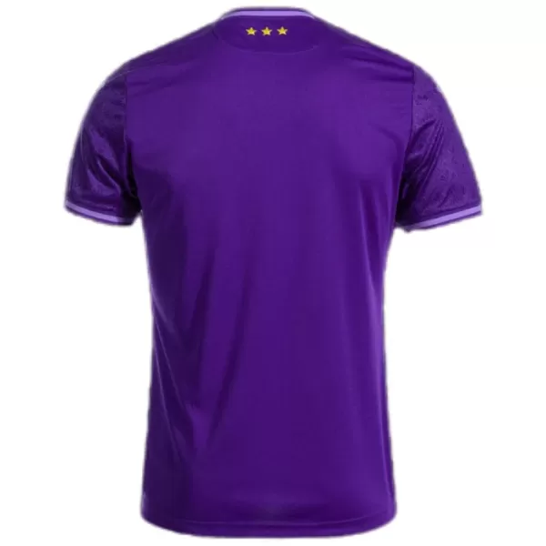 Maillot RSC Anderlecht Homme Domicile 2024-25