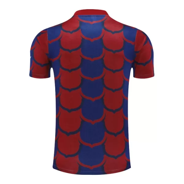 Maillot FC Barcelone Pre-Match Homme 2024-25