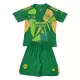 Maillot Gardien Arsenal Enfant 2024-25 Verte