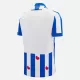 Maillot SC Heerenveen Homme Domicile 2024-25