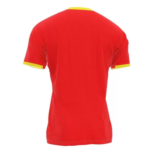 Maillot Guinea Homme Domicile 2024