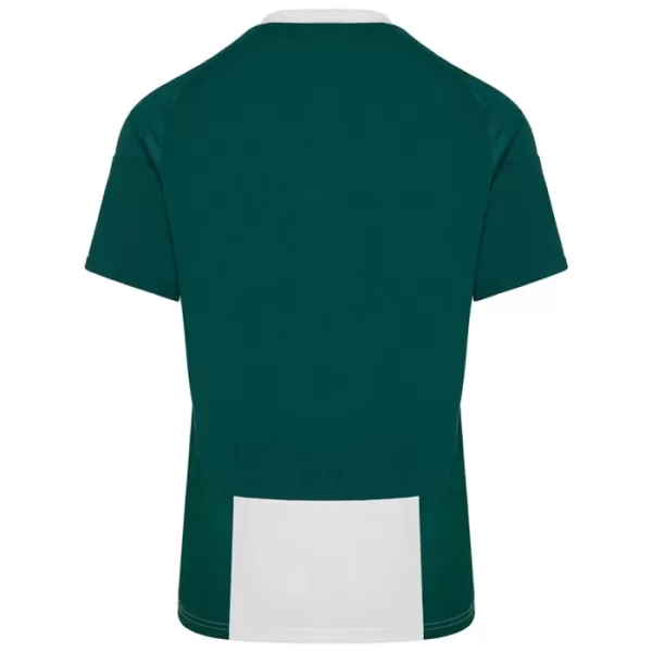 Maillot Panathinaikos FC Homme Domicile 2024-25