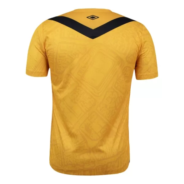 Maillot Santos FC Homme Third 2024-25