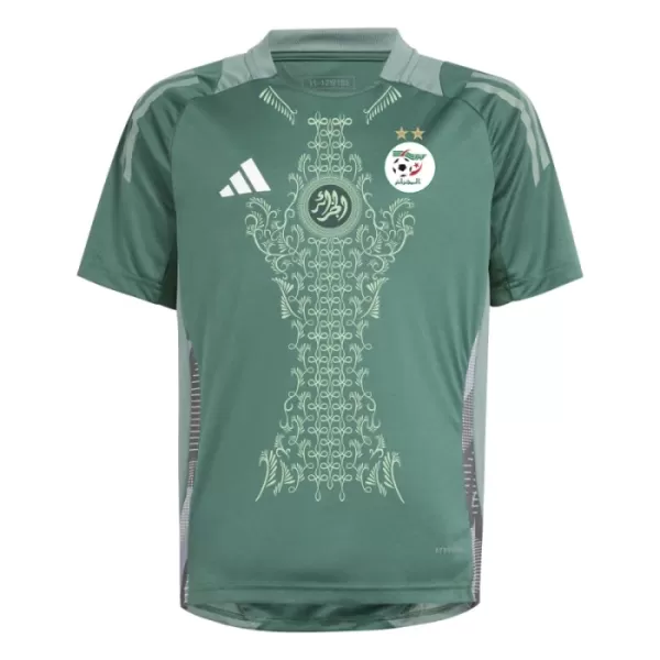 Maillot Nigéria Homme 2024 Verte